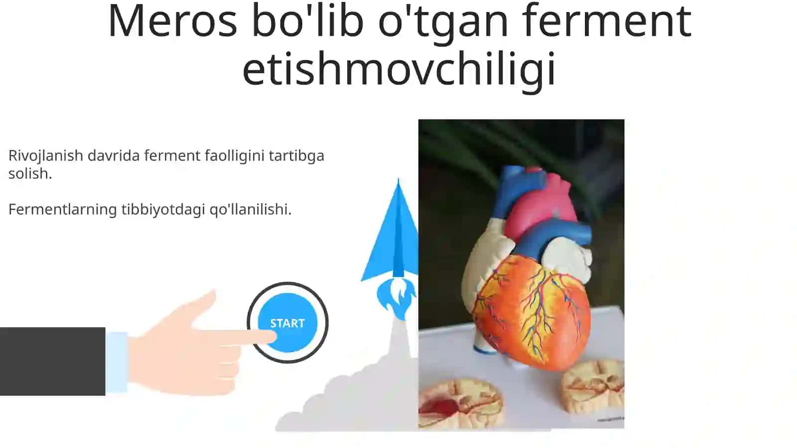 Fermentlar faolligini oshqozon kislotaligini gipo va giperatsid xolatlarda òzgarishi va tiklash choralari 3