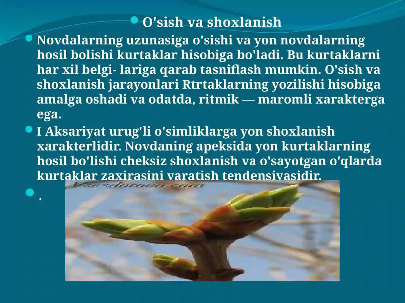 O`SISH VA SHOXLANISH 3