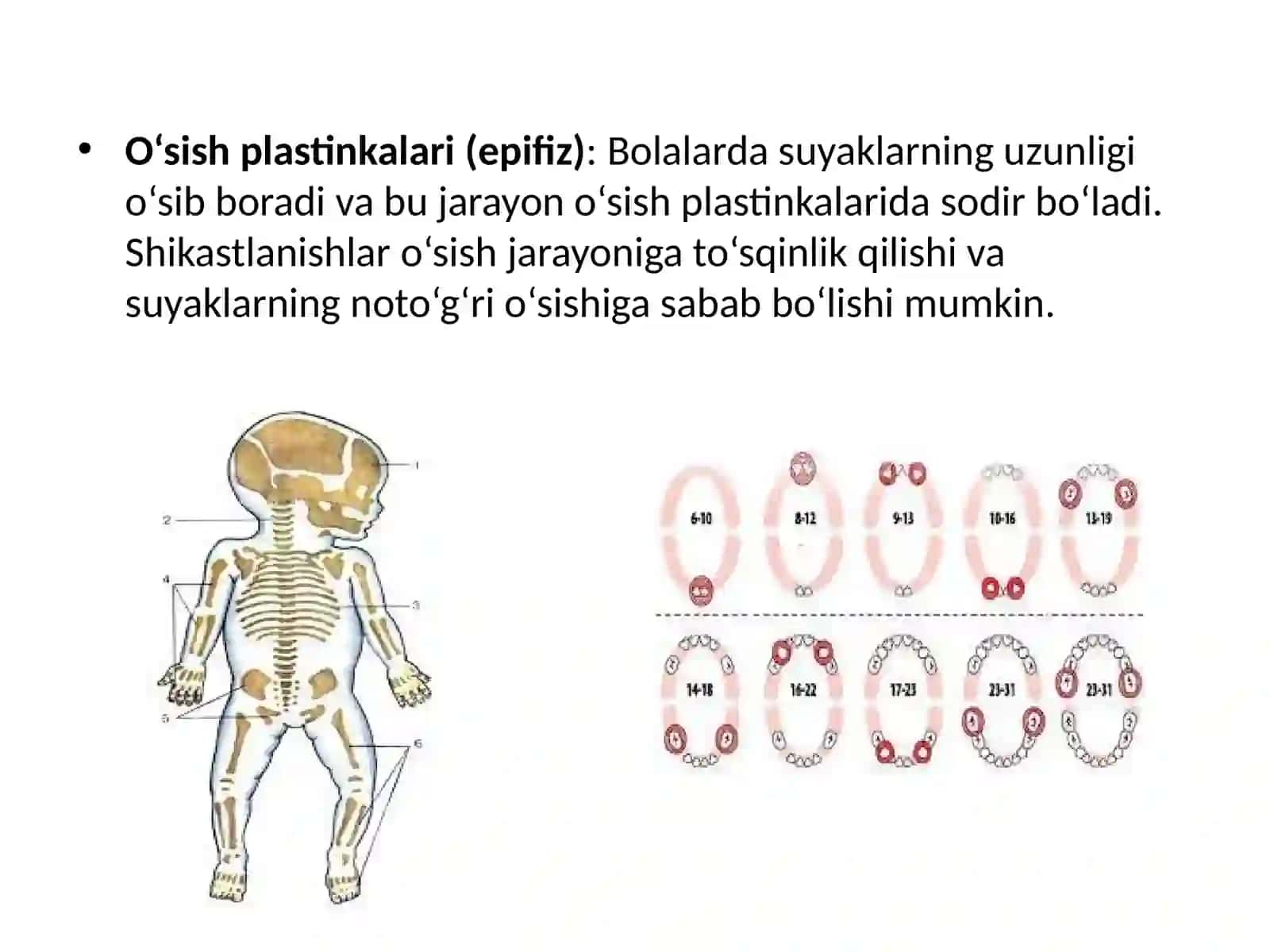 Bolalarda Suyak Shikastlanishlarining O‘ziga Xosligi 3