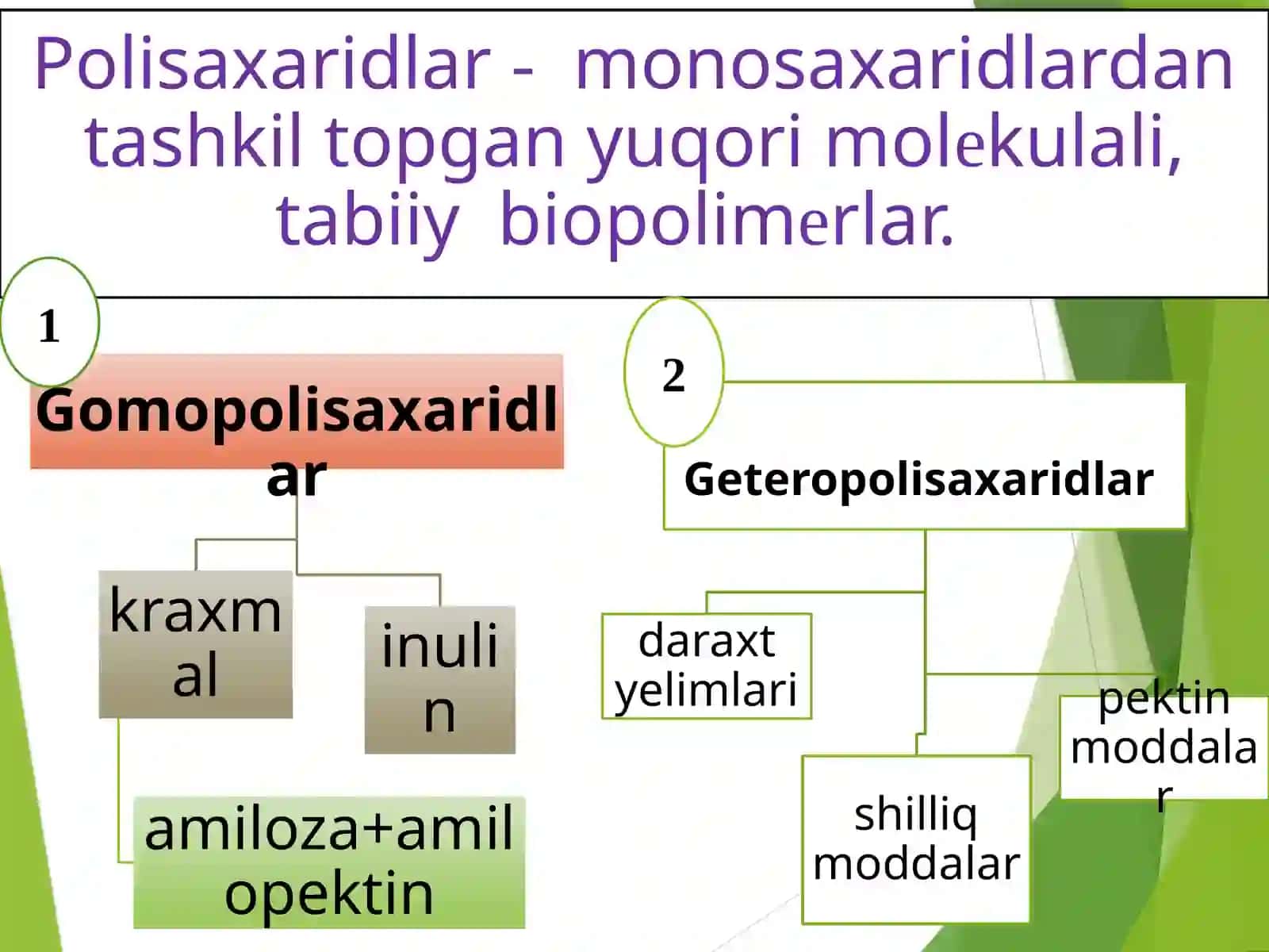 Polisaxaridlar saqlovchi dorivoro`simliklar 3