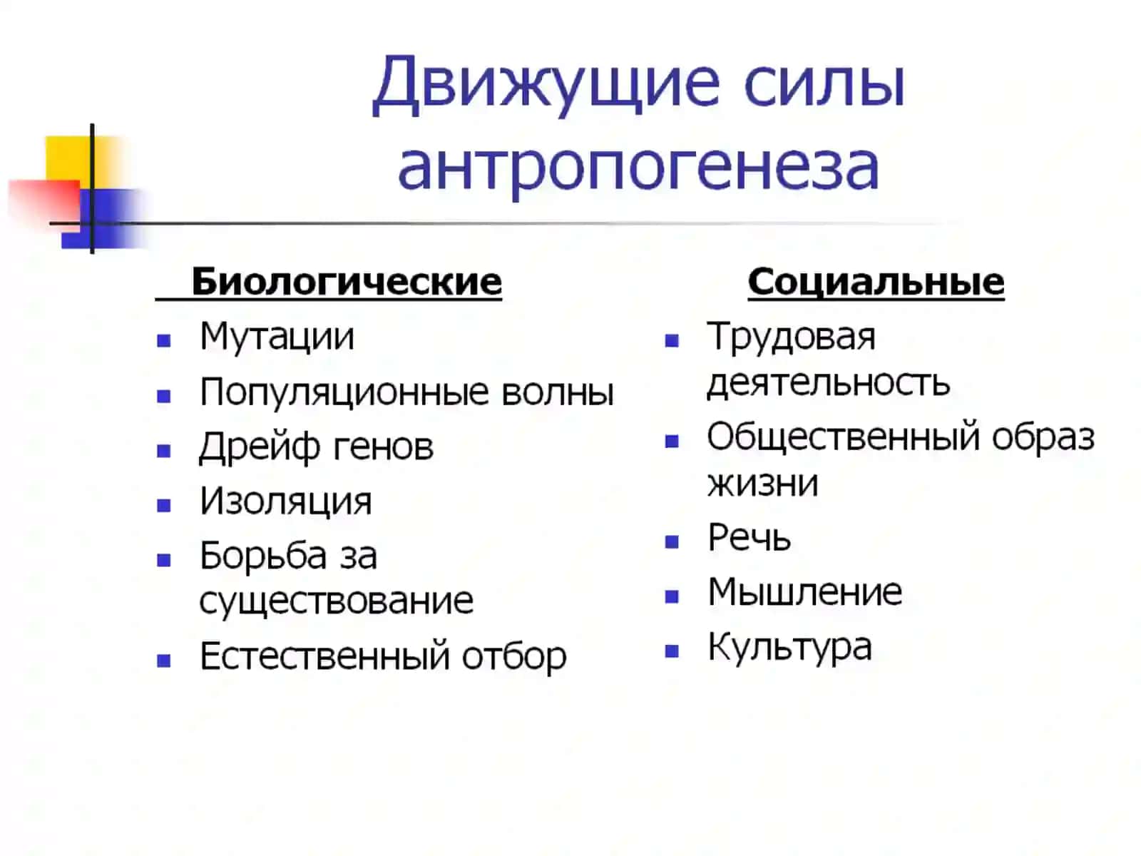 ЭВОЛЮЦИЯ ЧЕЛОВЕКА 3