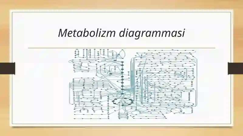 Metabolism jarayonida energiya hosil bo’lishi va sarflanishi 3