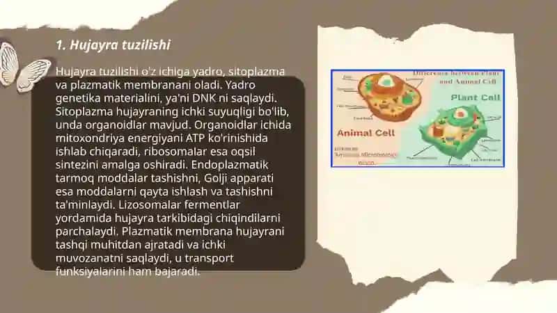 Hujayra biologiyasi 3