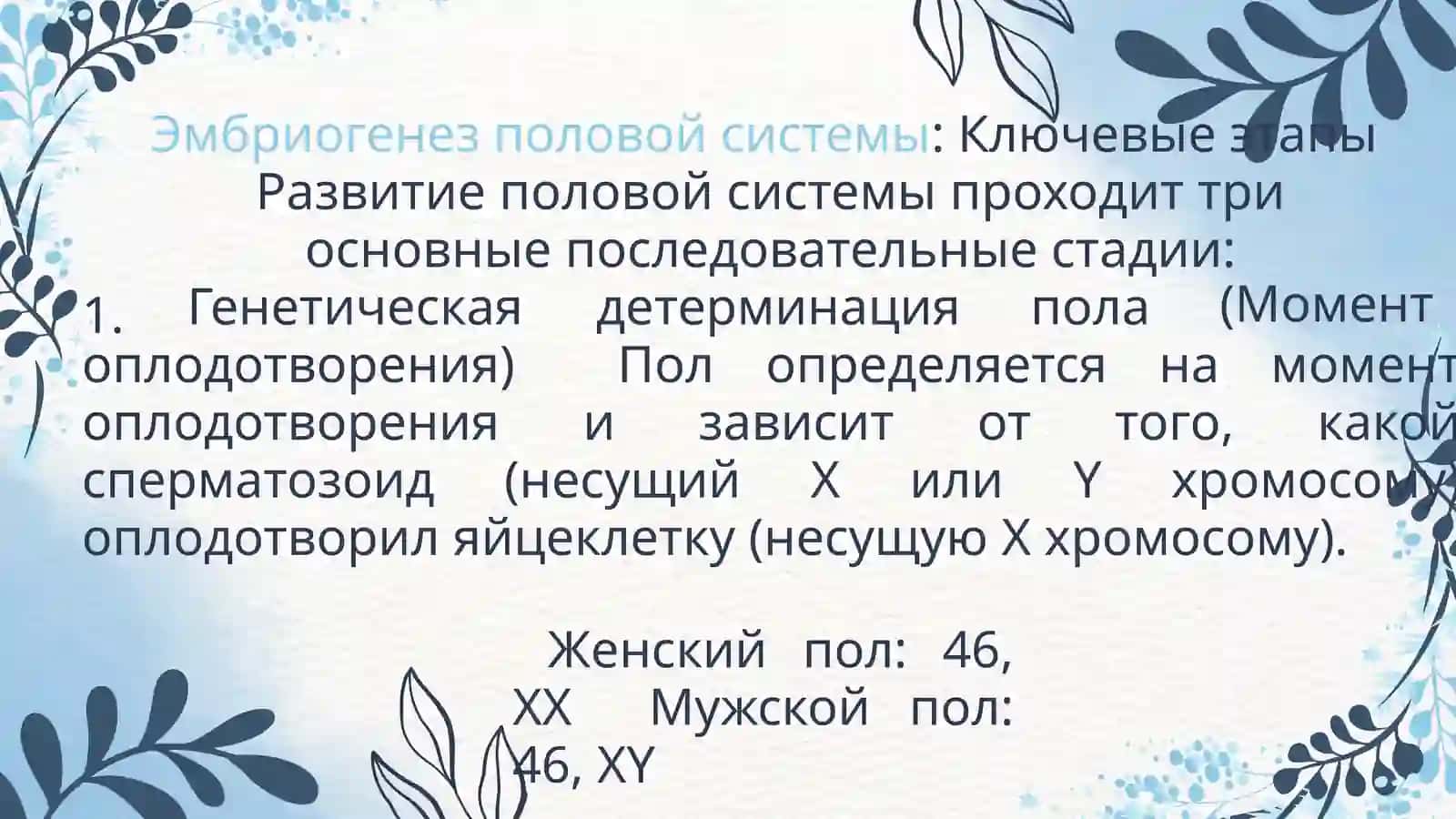 Эмбриогенез половой системы и факторы, влияющие на него 3