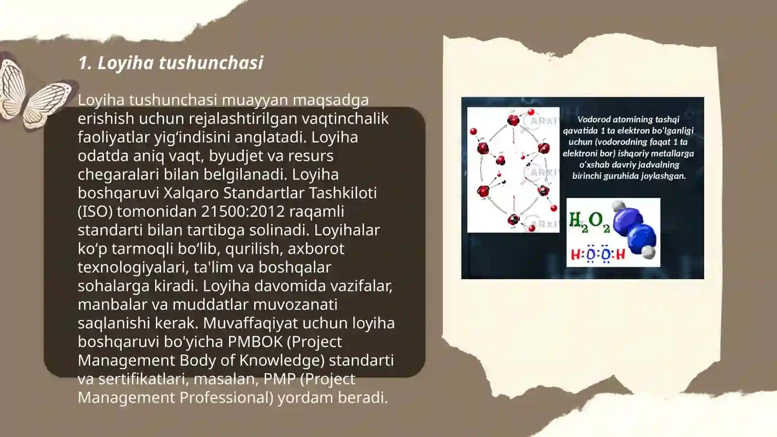 Loyiha tushunchasi 3