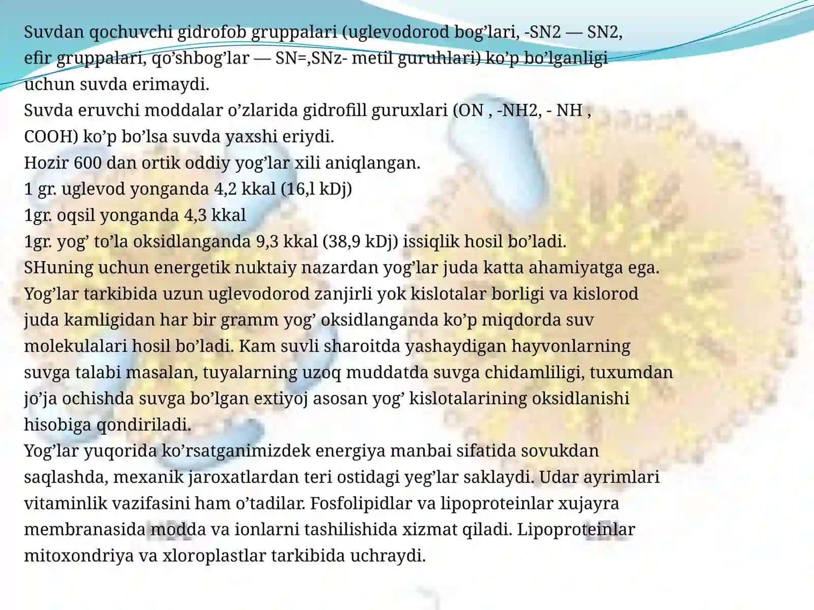 Lipidlarklassifikatsiyasi 3