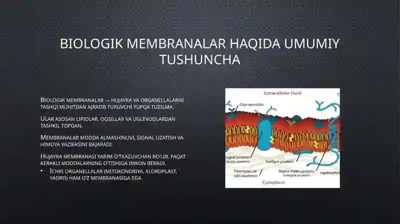 Biofizika - Biologik membranalardagi fizik jarayonlar (11 slayd PPT) 3