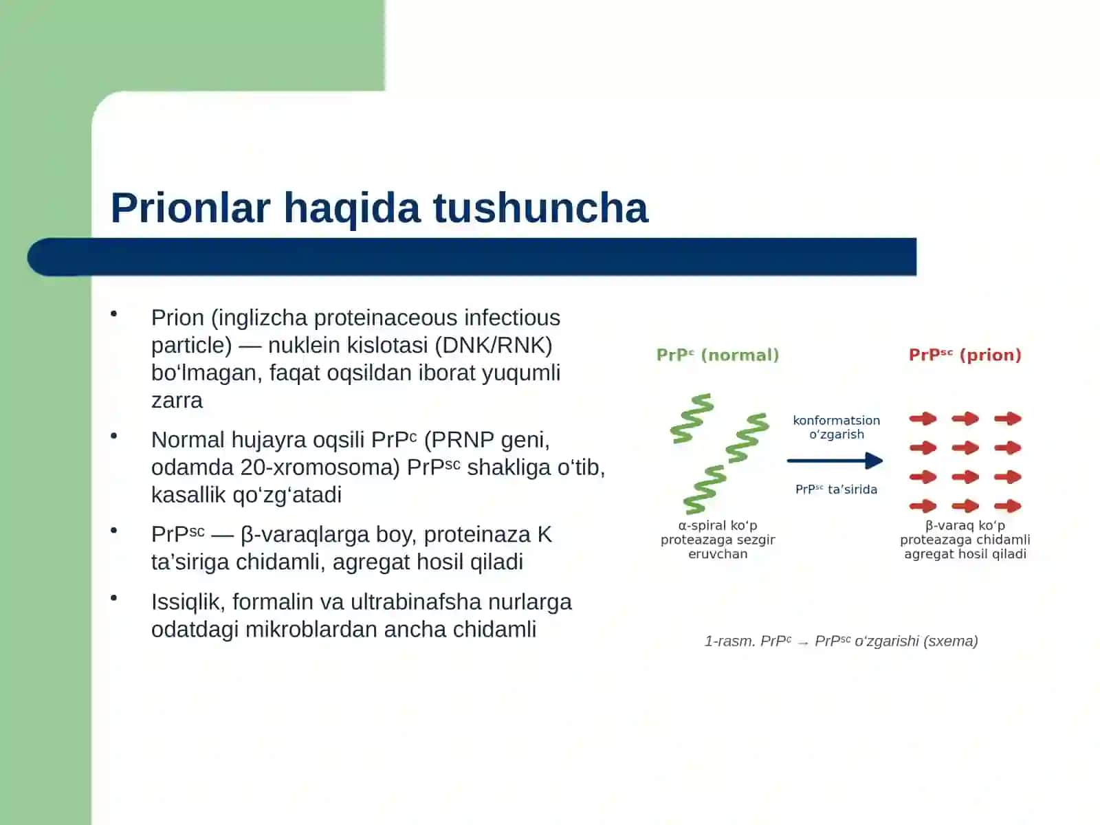 Prionlar haqida tushuncha, kelib chiqishi prion kasalliklari, amaliyotda ahamiyati. Oziq muhitlar, xromogen oziqli muhitlar, identifikasiyda qo'lanilishi 3