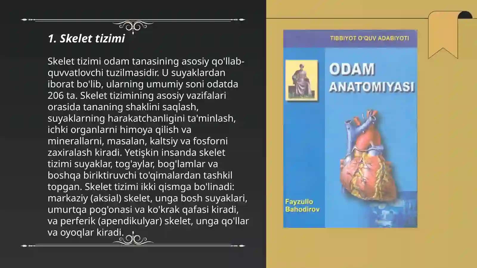 Odâm anatomiâsi 3