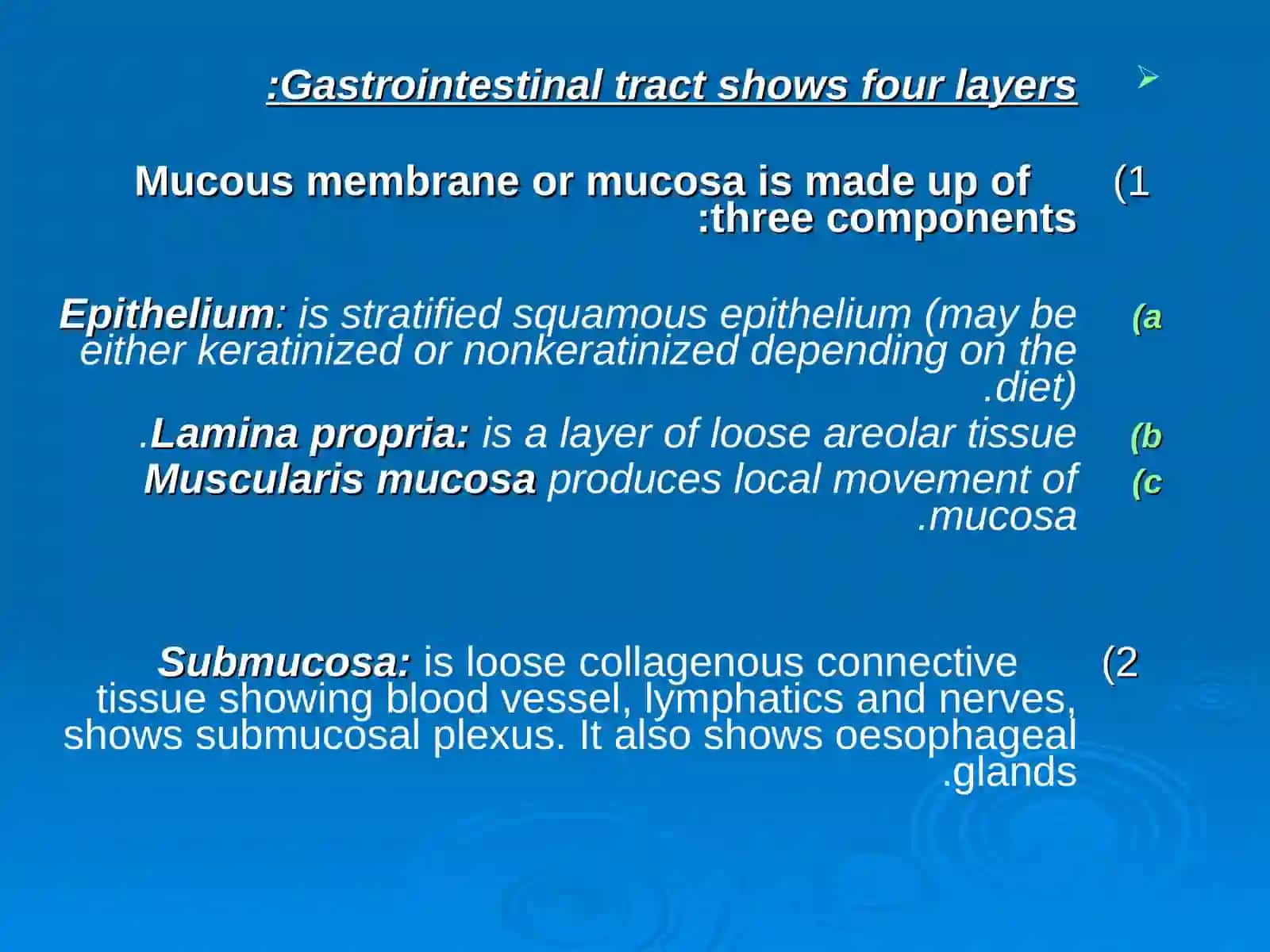 HISTOLOGY OF THE DIGESTIVE SYSTEM 3
