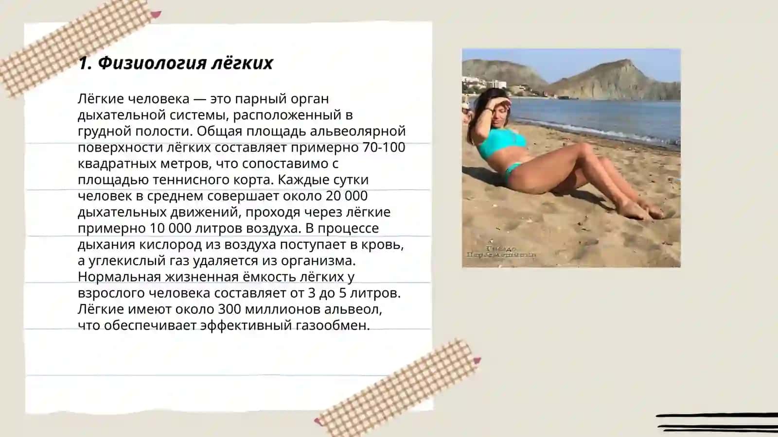 Лёгкие 3