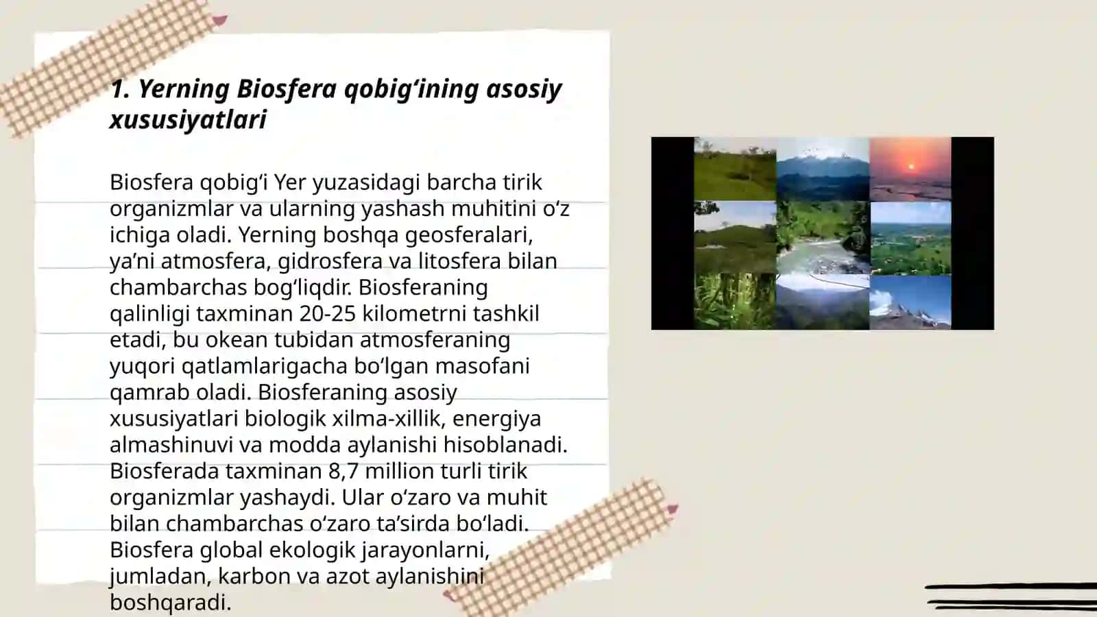Biosferaning paydo bo‘lishi va rivojlanishi 3