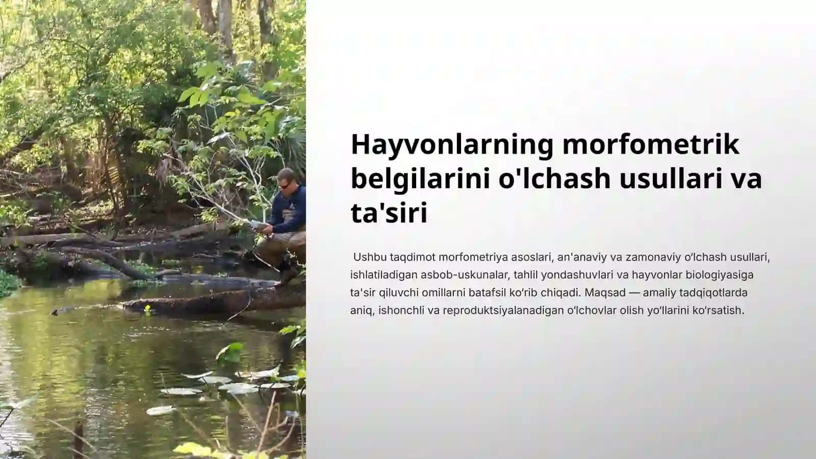 Hayvonlarning morfometrik belgilarini o'lchash usullari va ta'siri 3