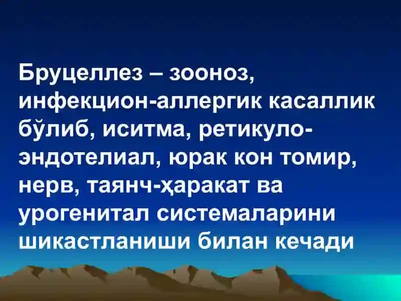 Бруцеллёз 3