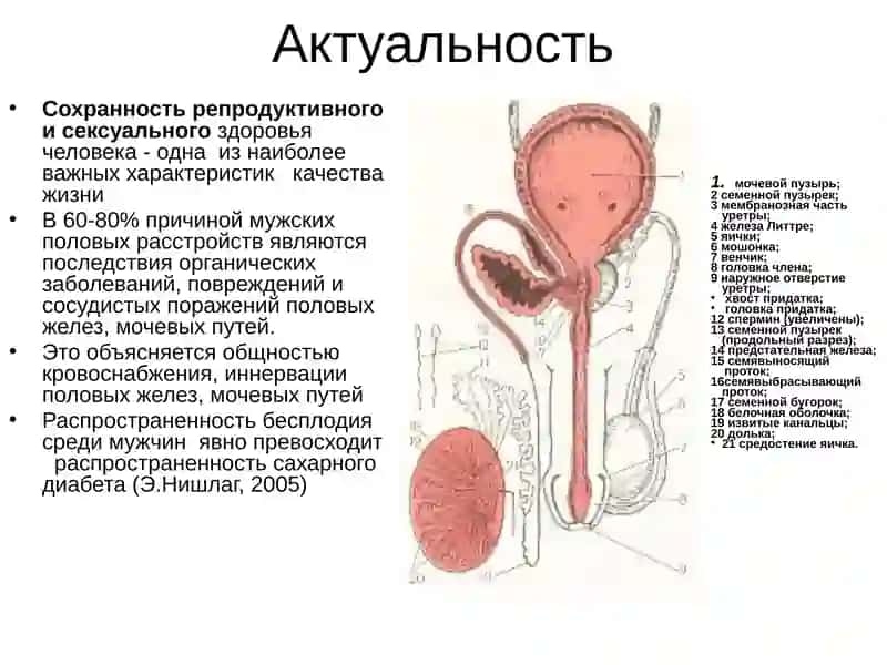 Актуальность 3