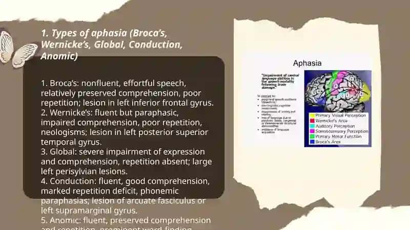 Aphasia 3
