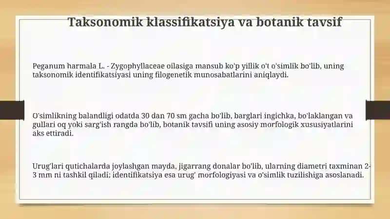 Peganum harmala 3