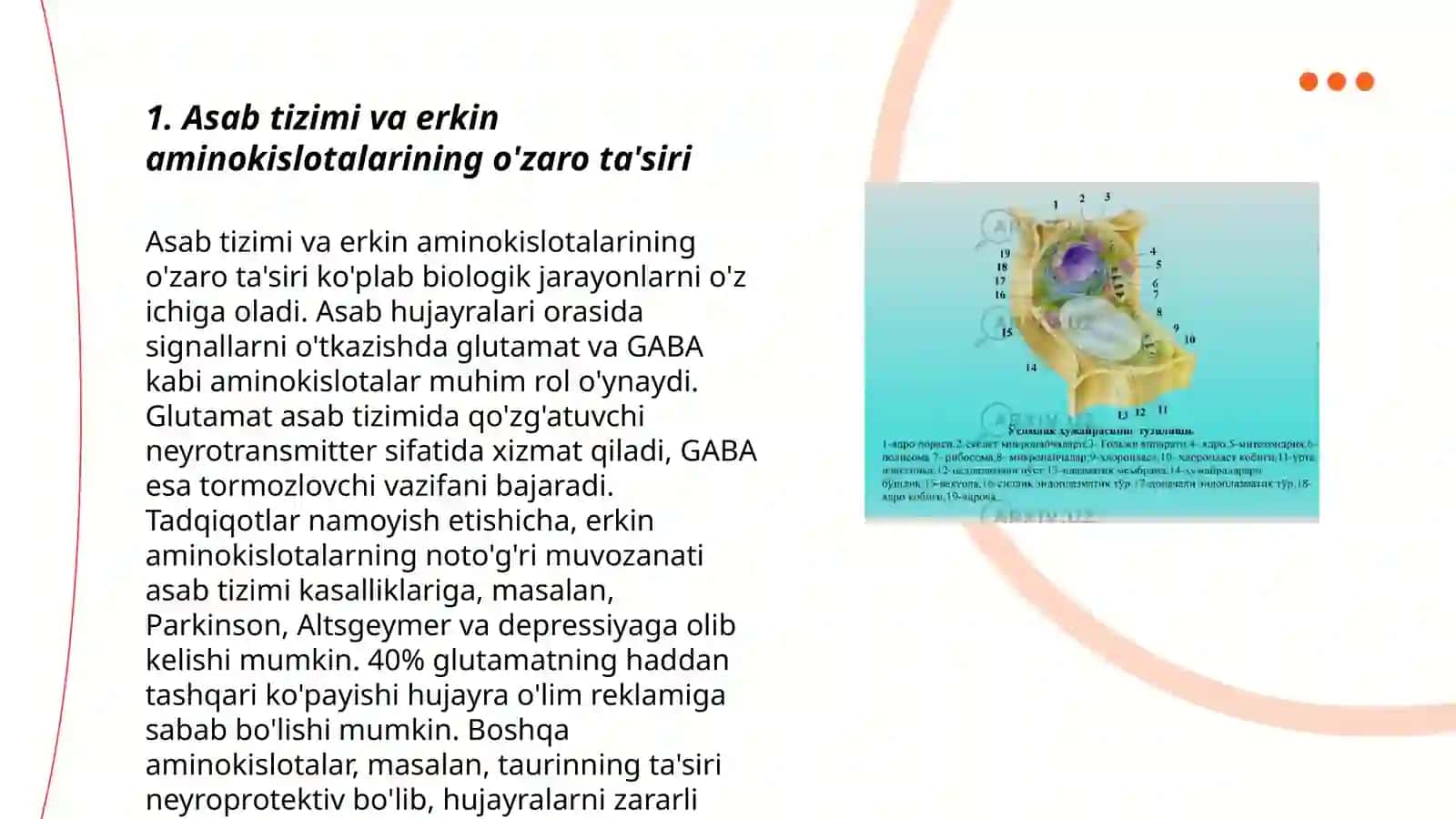 Asab tizimi erkin aminokislotalari, neyropeptidlari va hujayra membranalari lipidlari 3