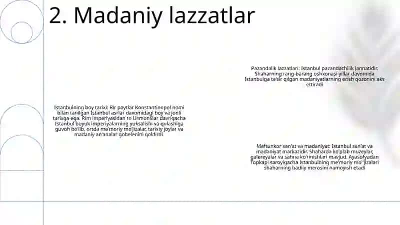 Istanbulga Sayohat 3