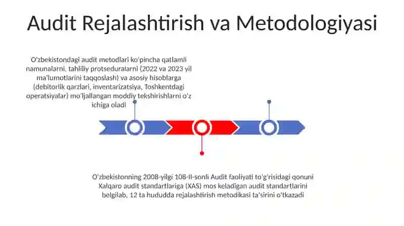 Oʻzbekiston Respublikasining Auditorlik faoliyati toʻgʻrisidagi qonun 3