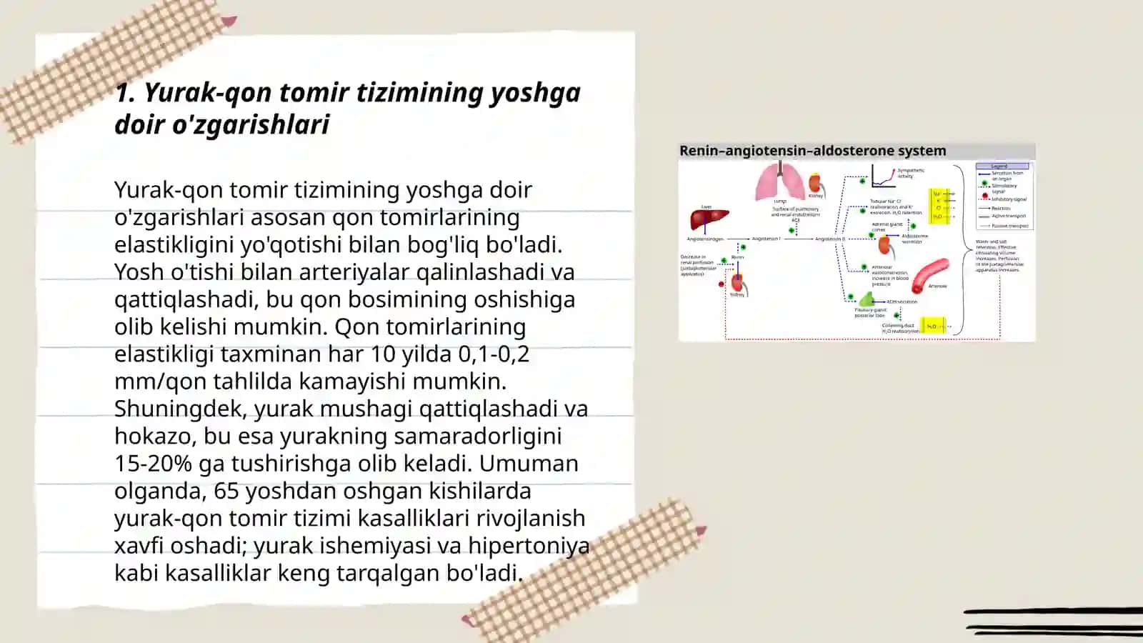 Yurak-qon tomir tizimining yoshga doir fiziologiyasi va gigiyenasi 3