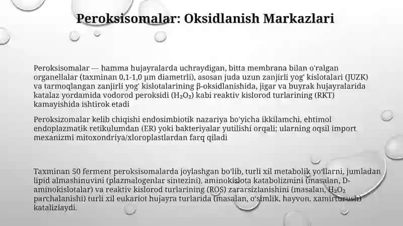 Hujayraning kelib chiqishi ikkilamchi boʻlgan organoidlari 3