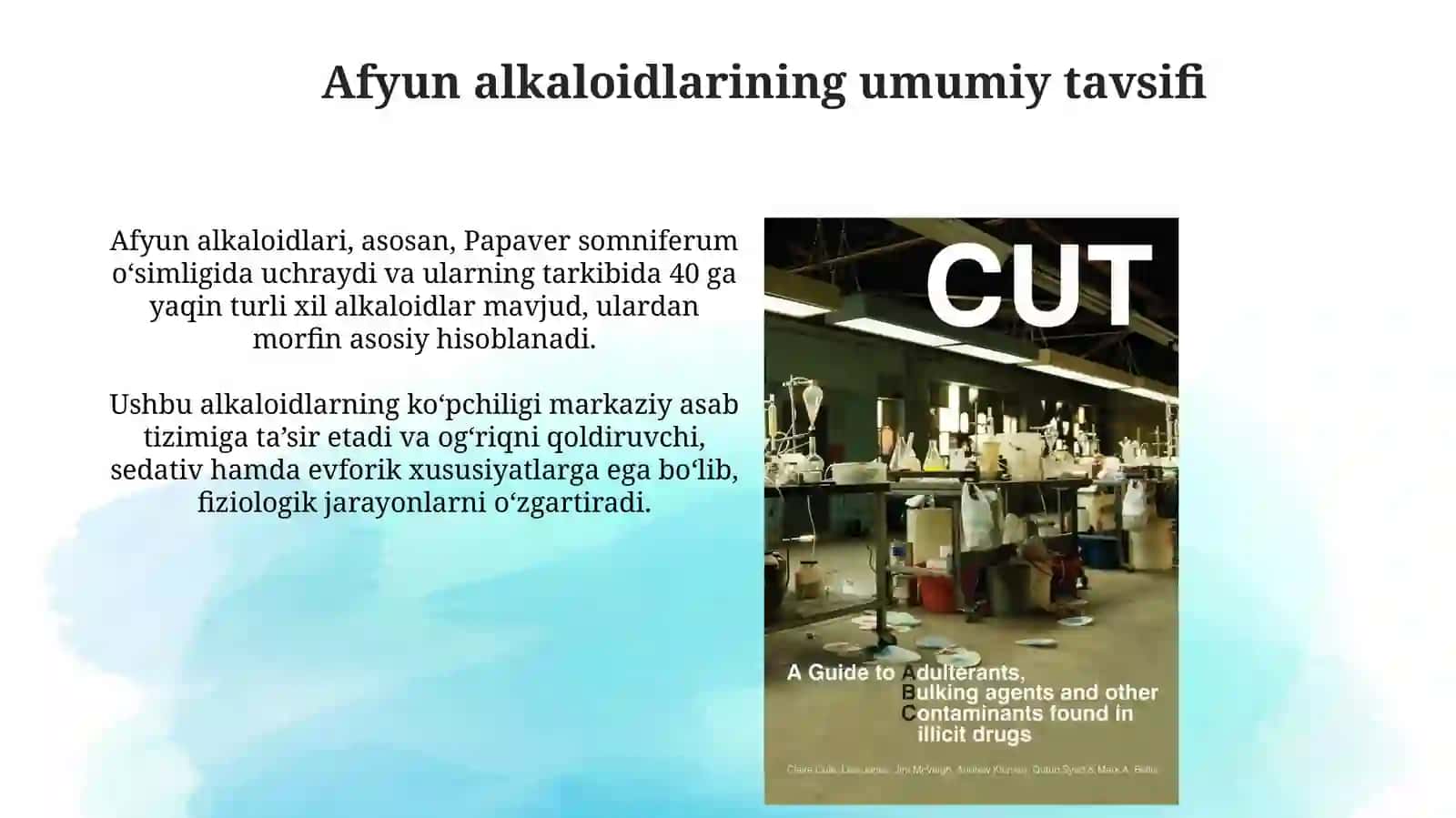 Afyun alkaloidlari 3