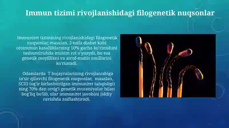 Immun tizimi rivojlanishidagi filogenetik nuqsonlar 3