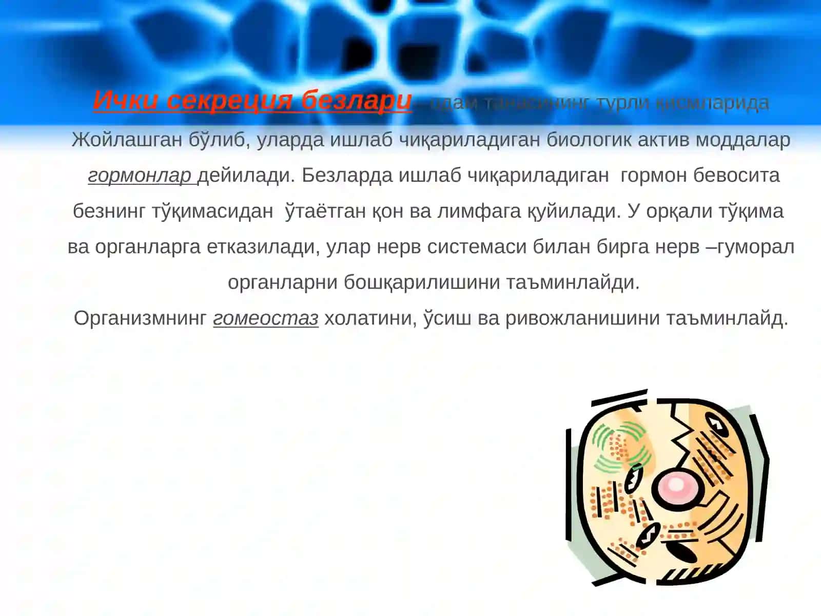 Ichki sekretsiya bezlarining yoshga hos xususiyatlari. Buyrak usti bezlari, ayrisimon bezlar va ularning funksiyalarining buzilishiga bog'liq kasalliklar. Me’da osti bezi va uning funksiyalarining buzilishiga bog'liq kasalliklar 3
