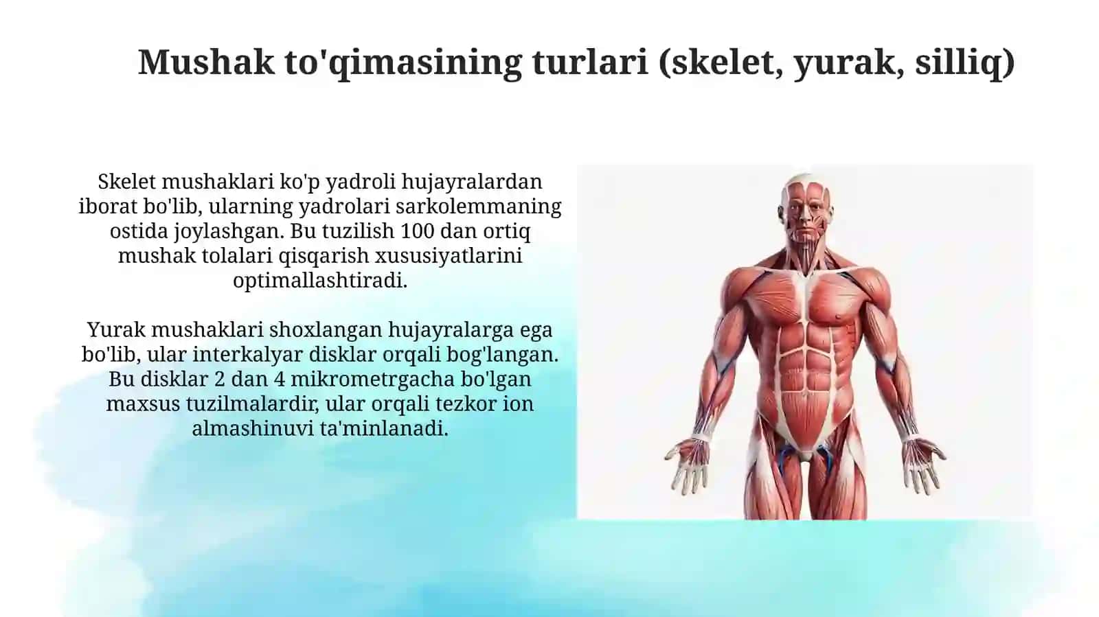Mushak qisqarish mexanizmining morfologik asoslari 3