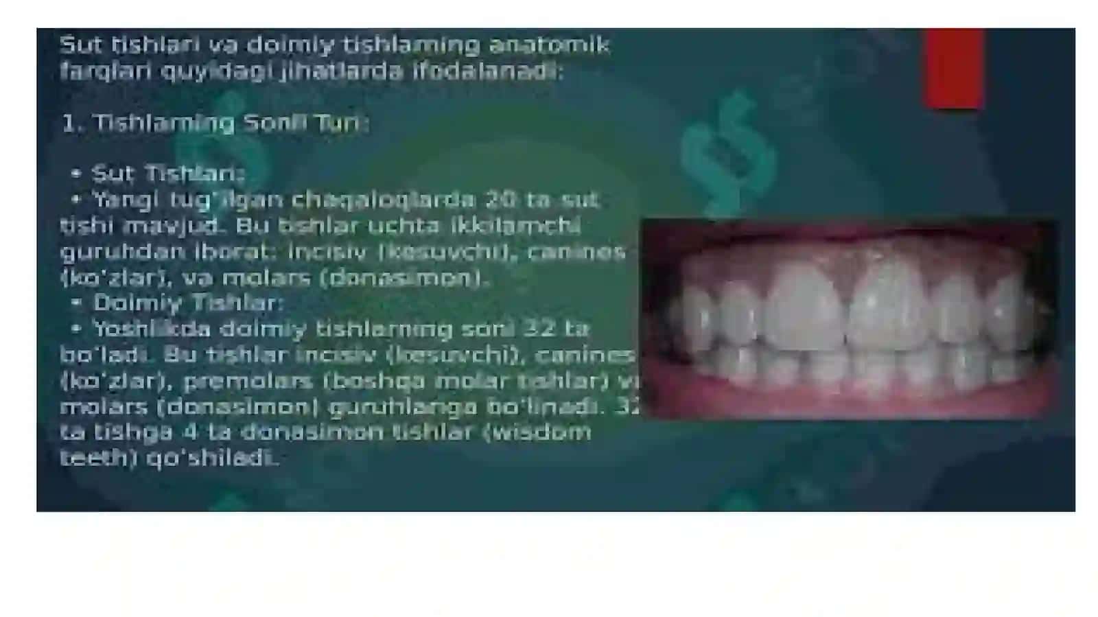 Doimiy tishlarning kimyoviy tuzulishi 3