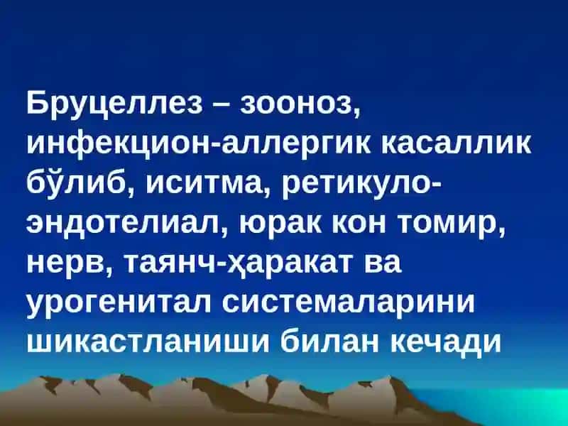 Брцеллёз 3