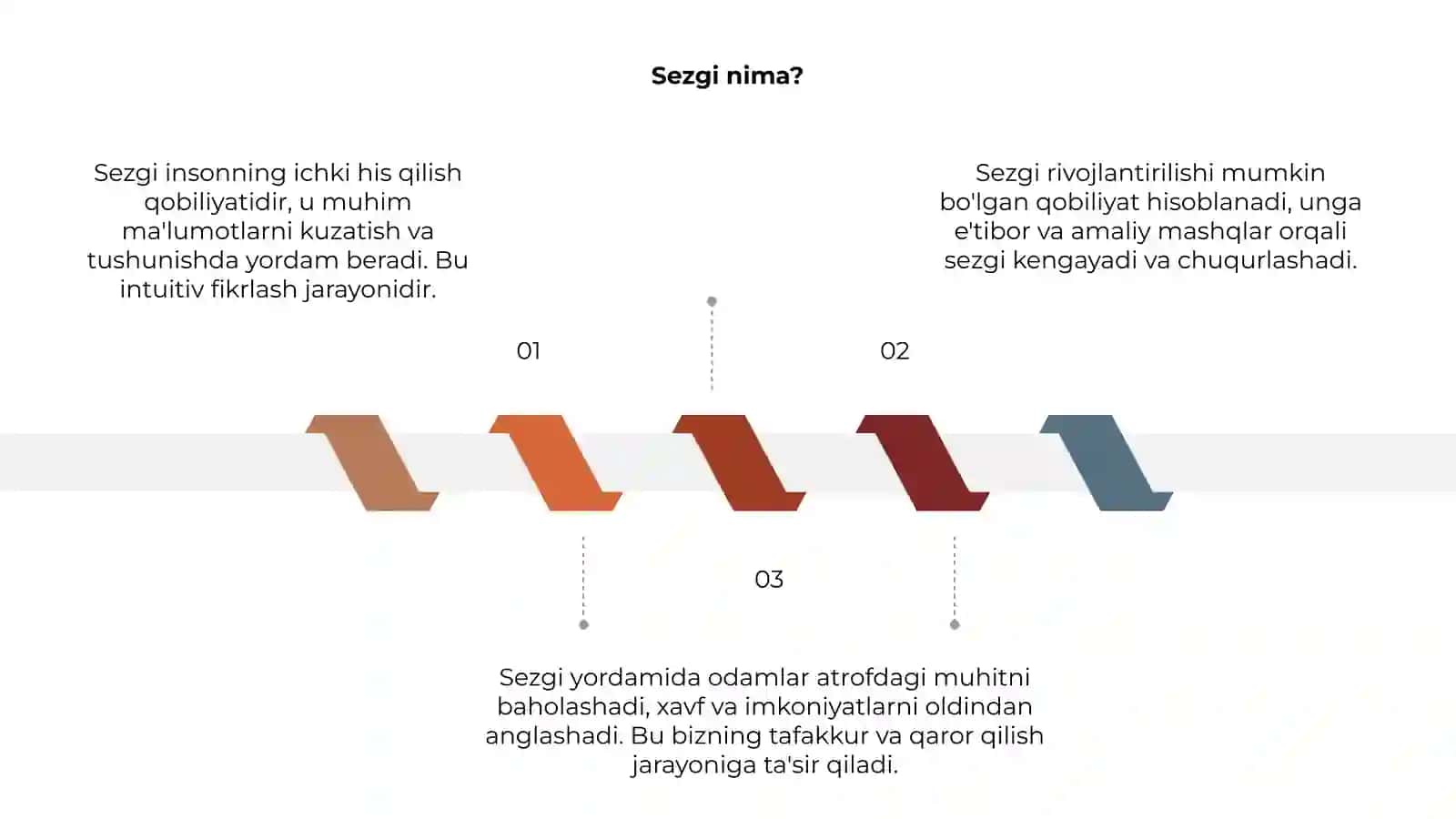 Sezgi 3