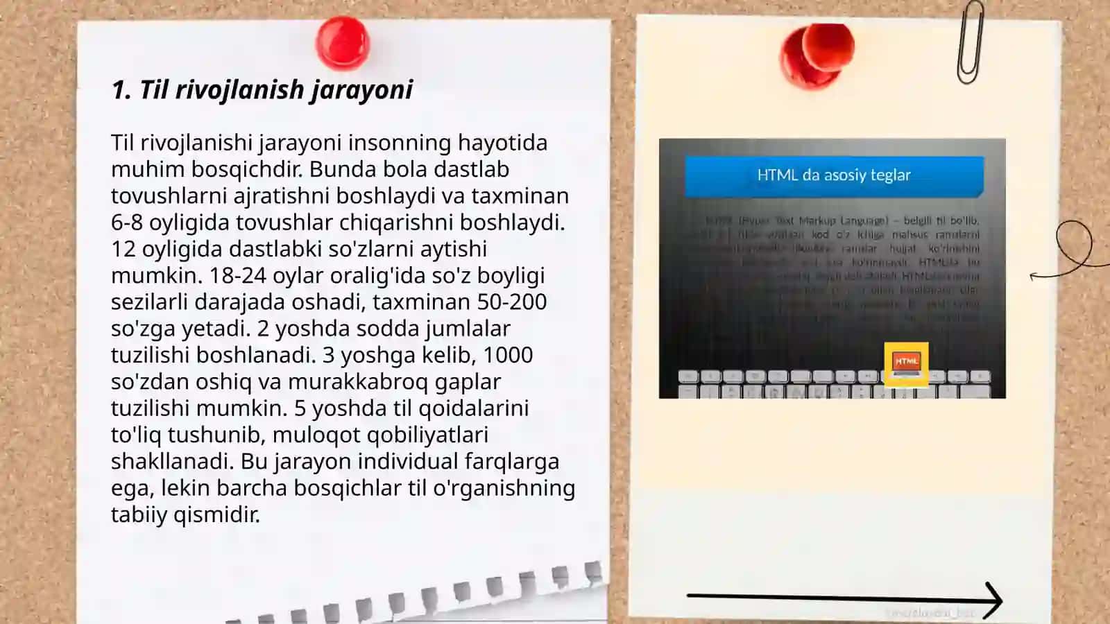 Tillarning taraqqiyot qonuniyatlari. Til va tafakkur 3