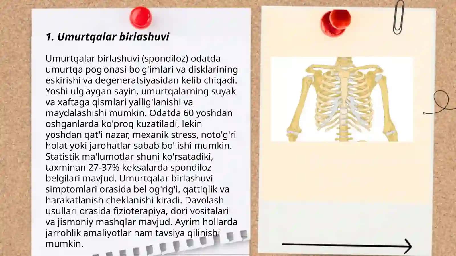 Birlashuvlar. Umurtqalar birlashuvi, umurtqa poĝonasi. Tana suyaklari birlashuvi. Kôkrak qafasi. Yelka kamari va qólning erkin qismi suyaklari birlashuvi, hosil bólishi, tuzilishi va harakat ôqlari va sathlari 3