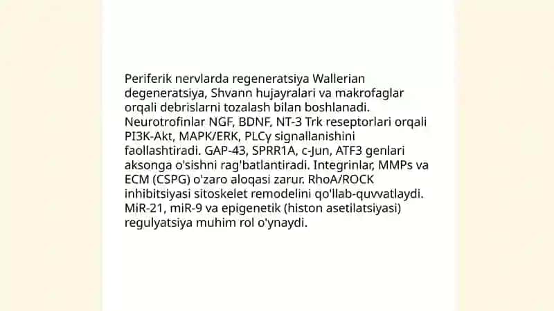 Nerv tòqima regeneratsiyasi 3