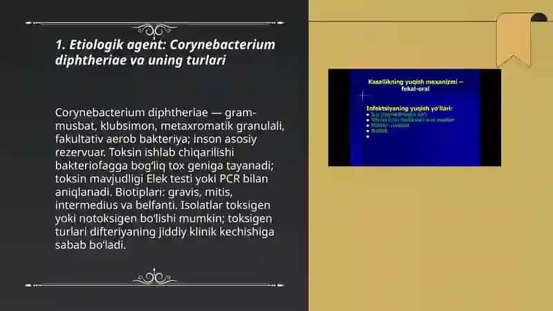Difteriya kasalligining kelib chiqish sabablari va asoratlari 3