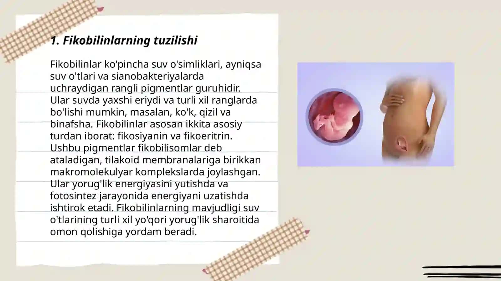 Fikobilinlarning fizologik ahamyati 3
