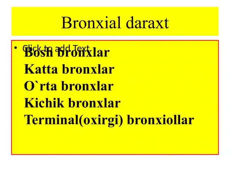 NAFAS  OLISH SISTEMASI VA ТERI. 3