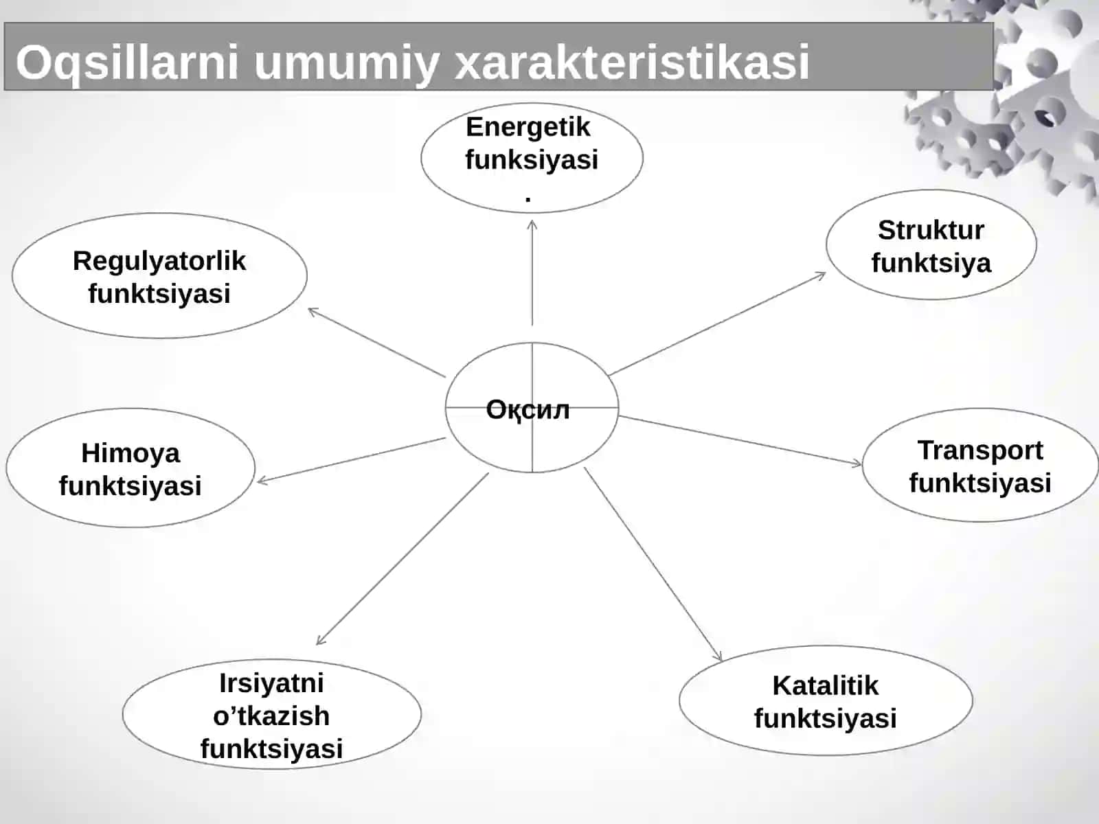 Oqsil  biosintezi. Transkripsiya vaTranslatsiyasi 3