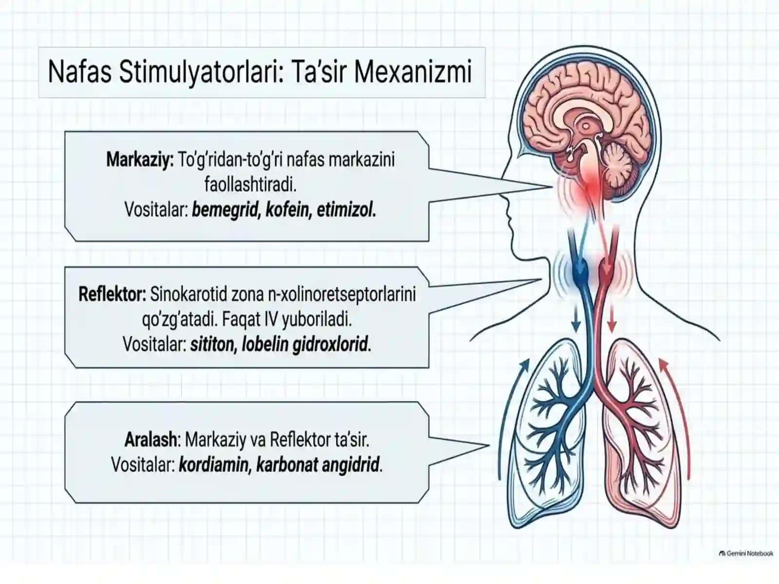 nafas olish yollariga tasir qiluvchi moddalar 3