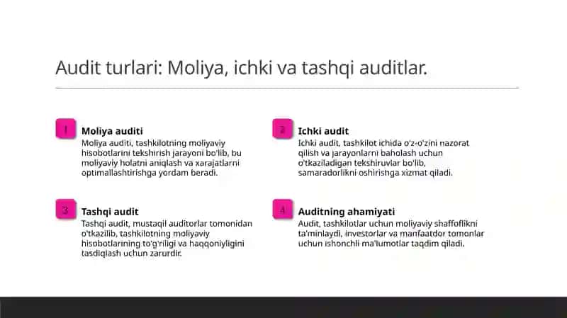 Auditning turlari va shakllari 3