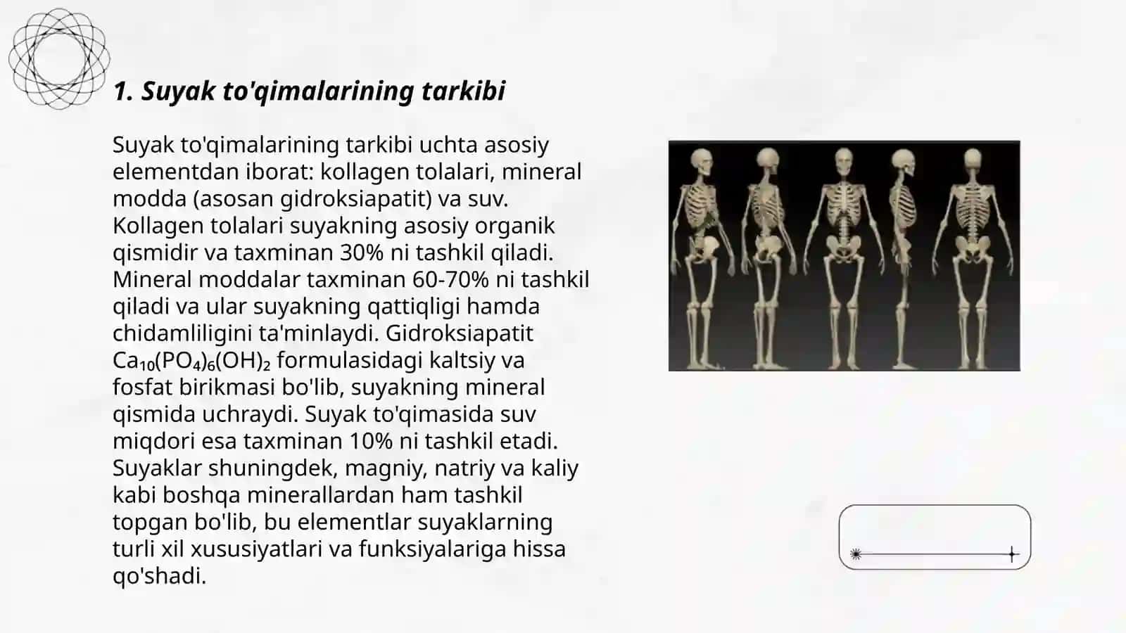 Suyaklar tuzilishi va vazifasi 3