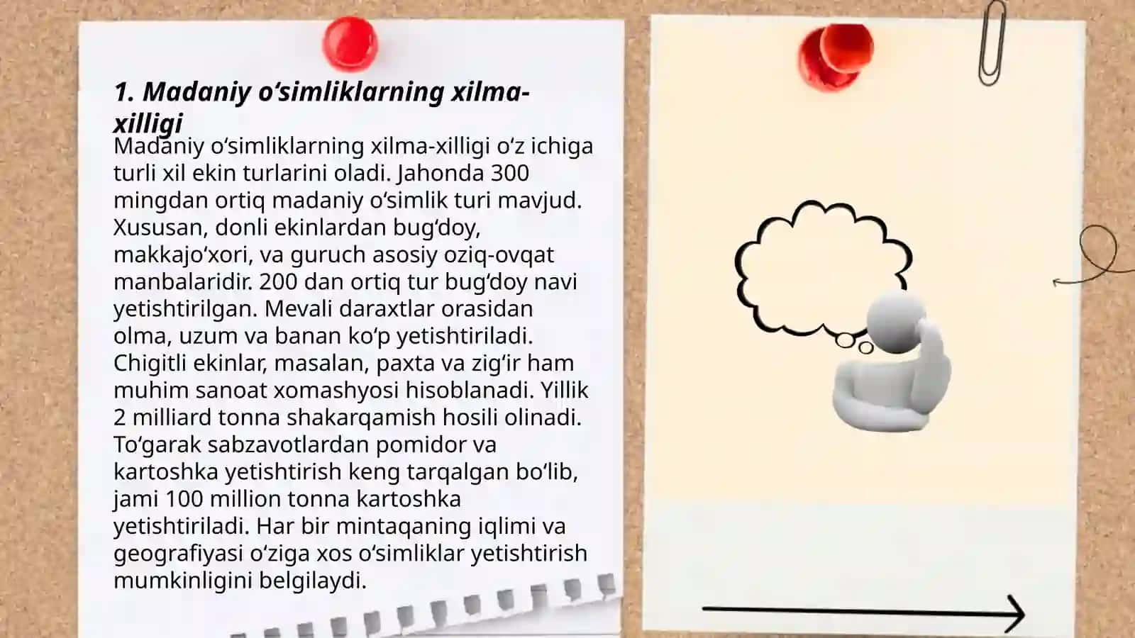 Madaniy o‘simliklarning kelib chiqish markazlari 3