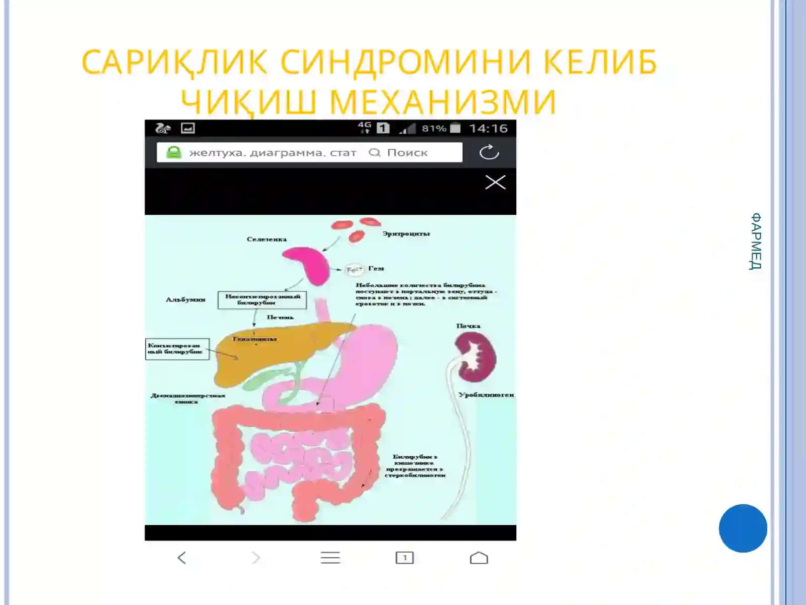 Сурункали гепатит касаллиги билан умуман олганда 50 миллион киши касалланган 3