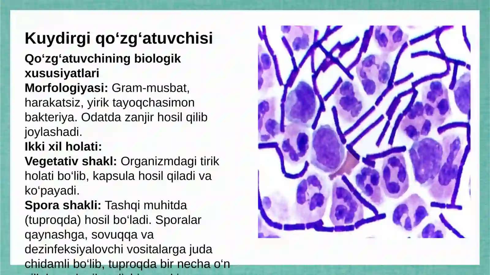 Oʻta xavfli infeksiya kuydirgi va brutsellyoz tasnifi 3