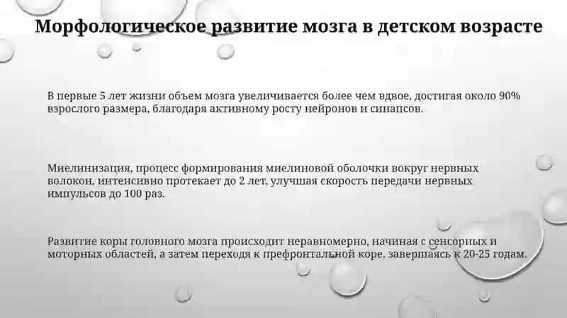 Bolalarda boshmiyaning morfologik va funksional hususiyatlari 3