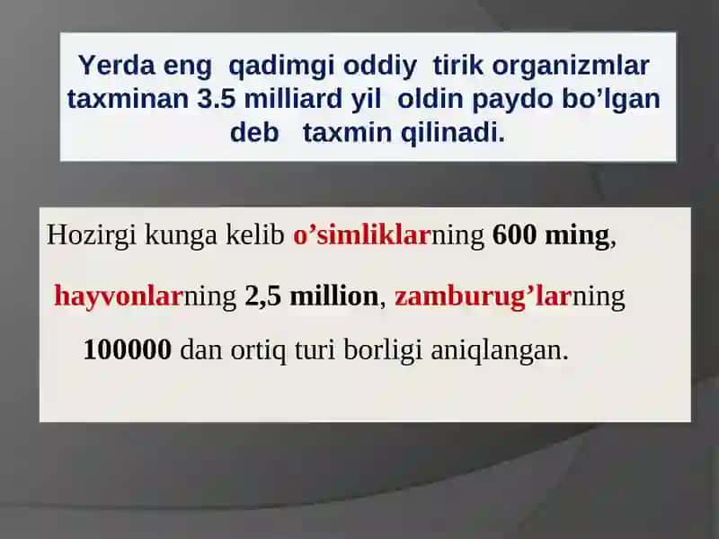 Hayvonot va o'simlik dunyosi 3