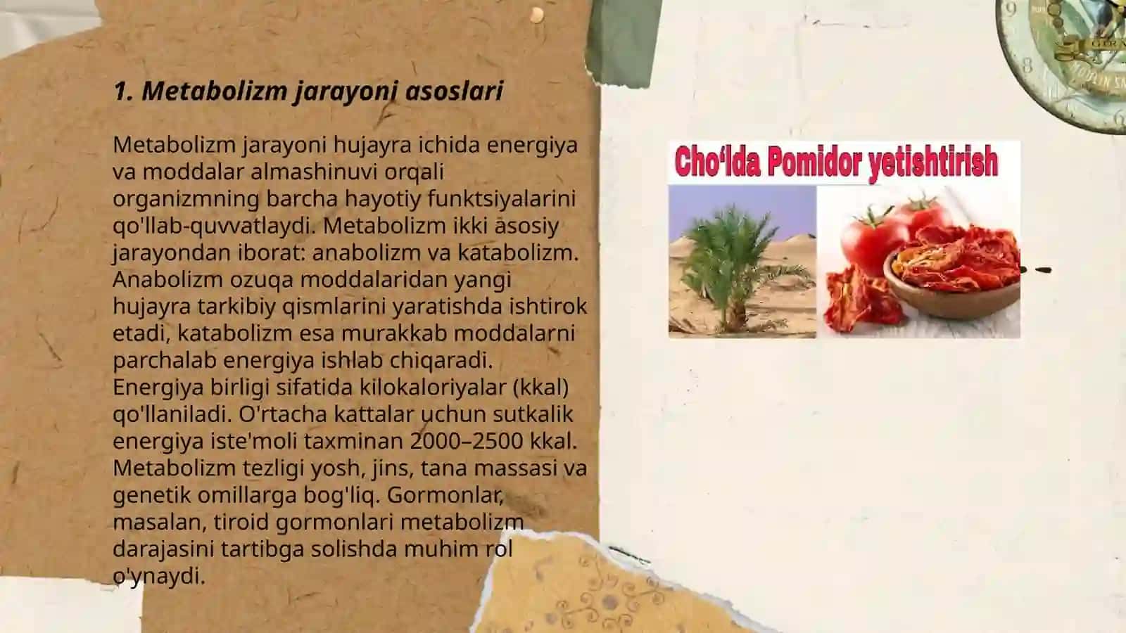 Metabolizm jarayonida energiya hosil boʻlishi va sarflnishi 3