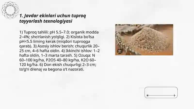 Javdar yetishtirish texnologiyasi 3